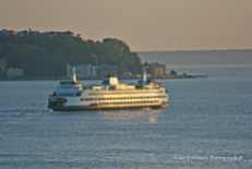 Ferry coming to Seattle - Gina Lockhart