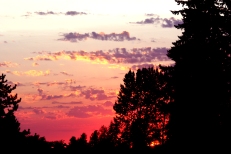 Sunset outside my house - Gina Lockhart
